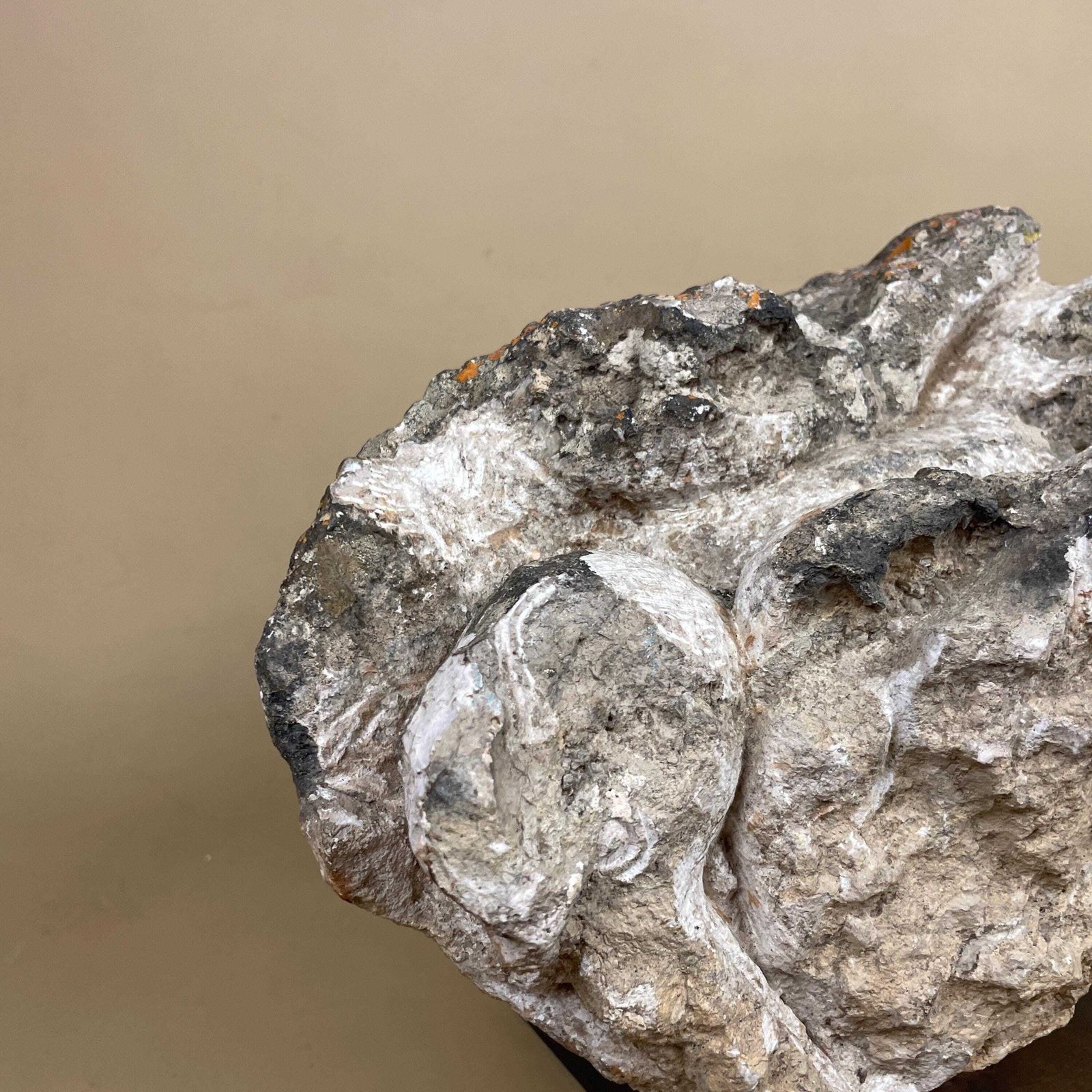 Large Natural Fossil Rock Specimen On Metal Stand Heavy Display Piece Art Museum Decor Mineral Collection Curio Display Stone photo buy