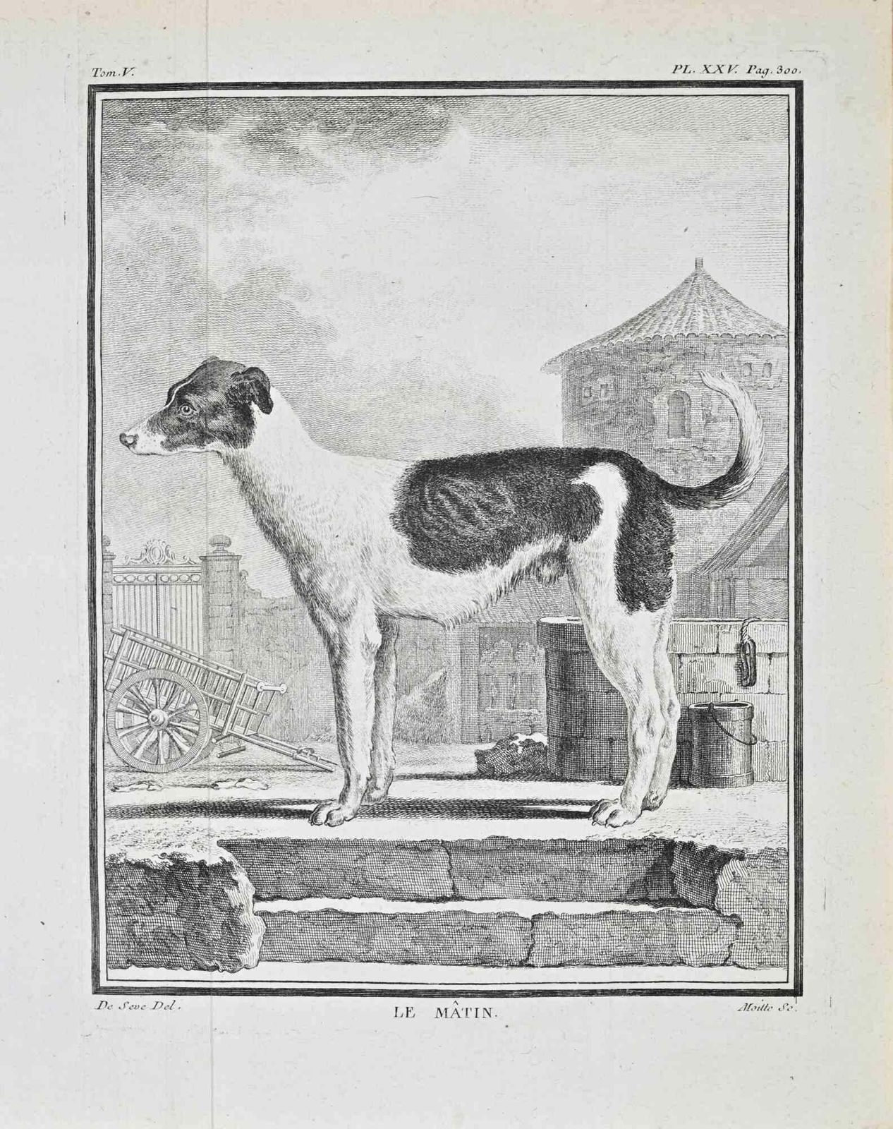 Jacques De Sevele Mâtin   Etching By Jacques De Sève   17711771