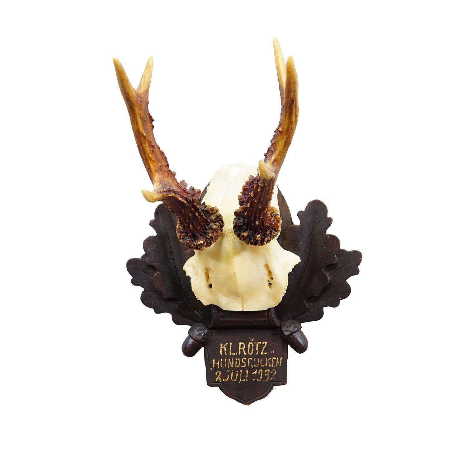 Antique Black Forest Red Deer Trophy On Carved Plaque   Germany 1932 photo furniture