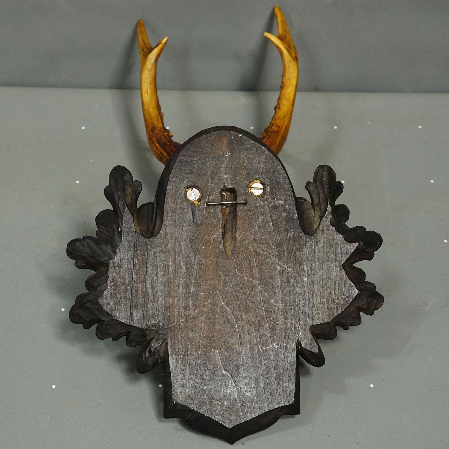 Antique Black Forest Red Deer Trophy On Carved Plaque, Germany 1900 photo vinterior