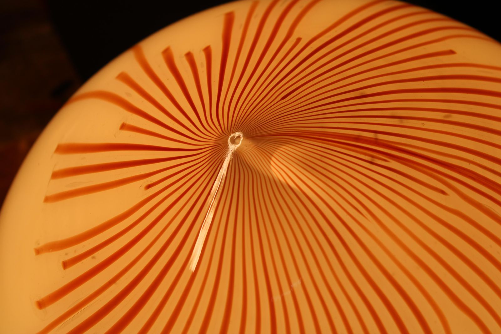 Anemone Venini 1970 Murano Glkass And Brass Chandelier photo for sale