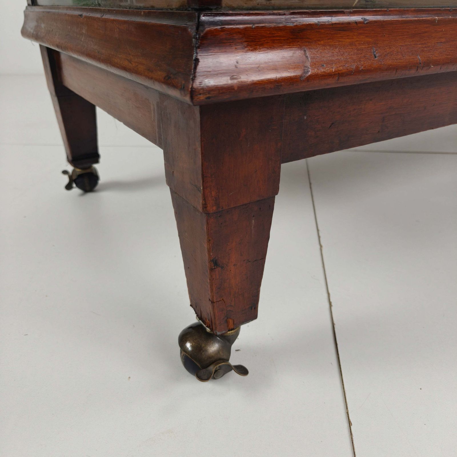 English Shop Display / Shop Counter (1910–1920) photo 1296.0