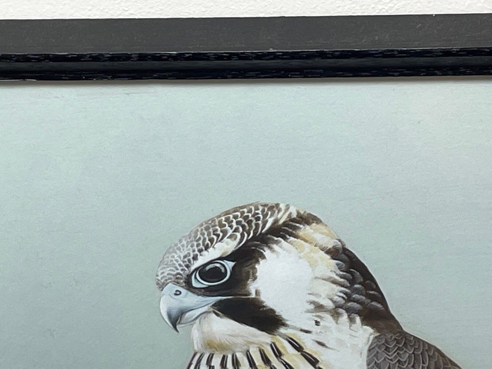 Fine British Art Gouache Watercolour Peregrine Falcon By David Johnston photo for sale