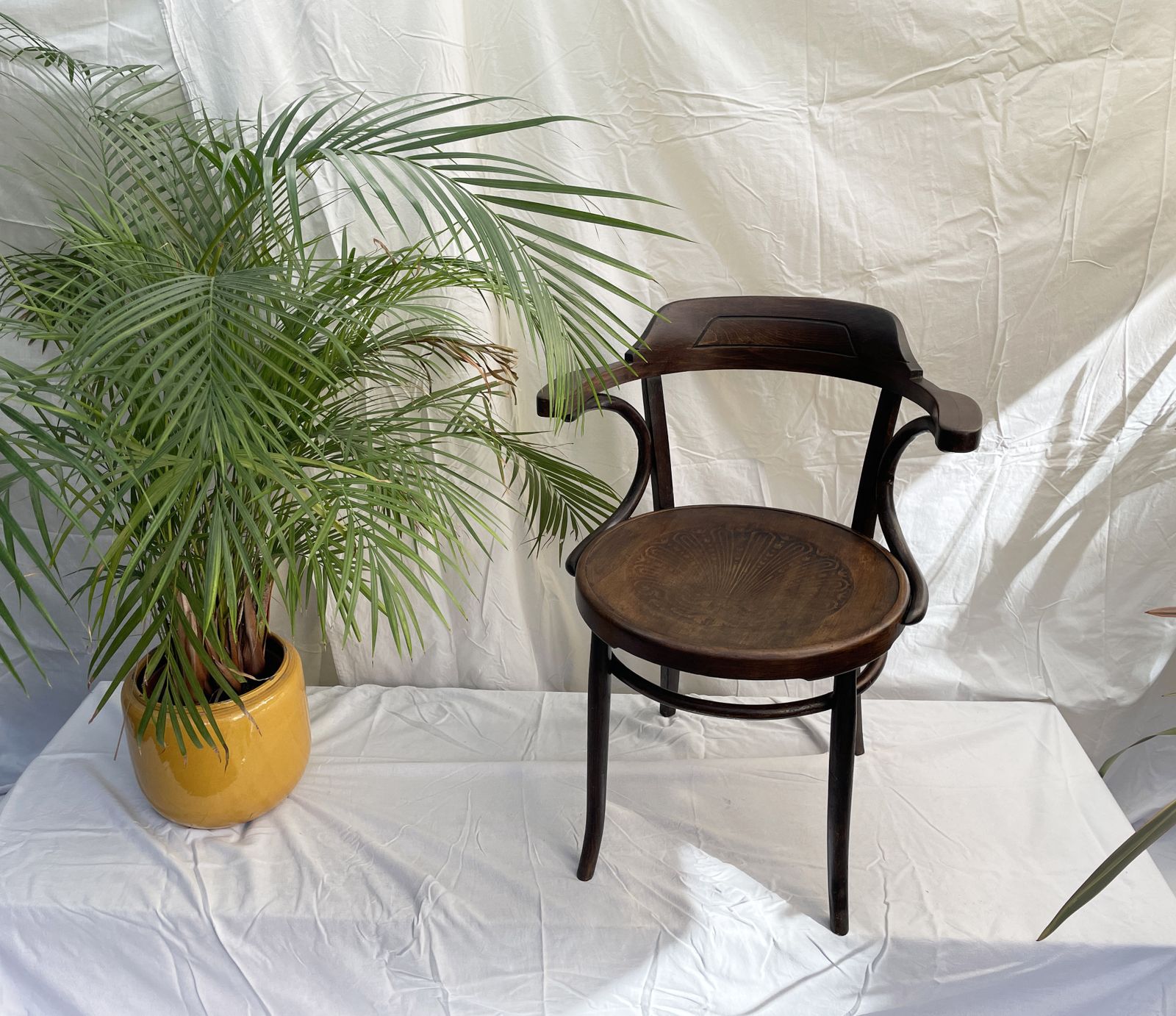 Art Nouveau Bistro Cafe Bentwood Armchair photo for sale