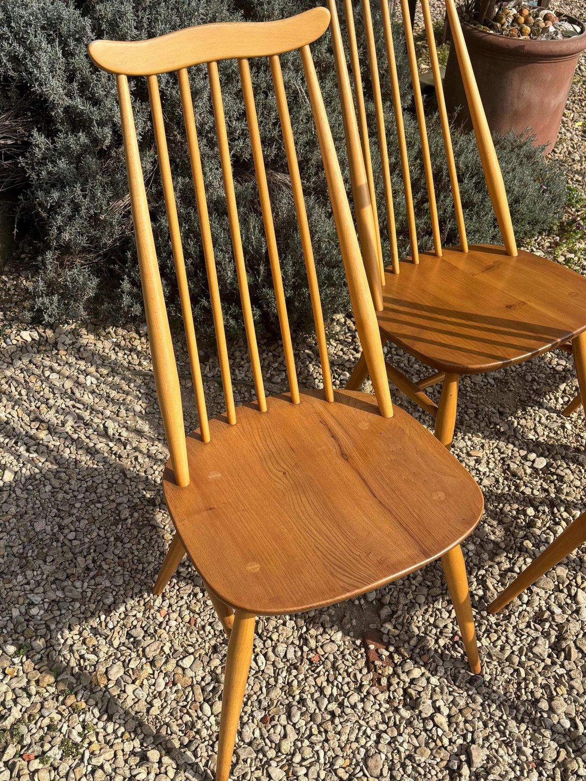 Ercol Goldsmith Dining Chairs X 4 Blonde Gold Label photo for sale