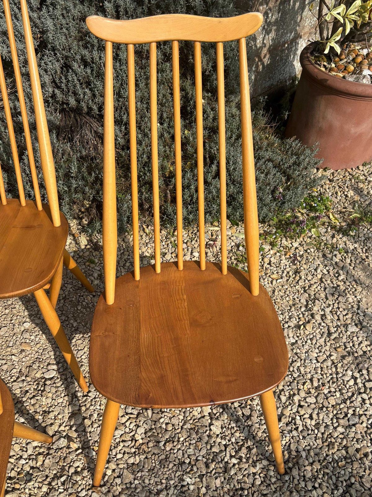 Ercol Goldsmith Dining Chairs X 4 Blonde Gold Label photo 595.0