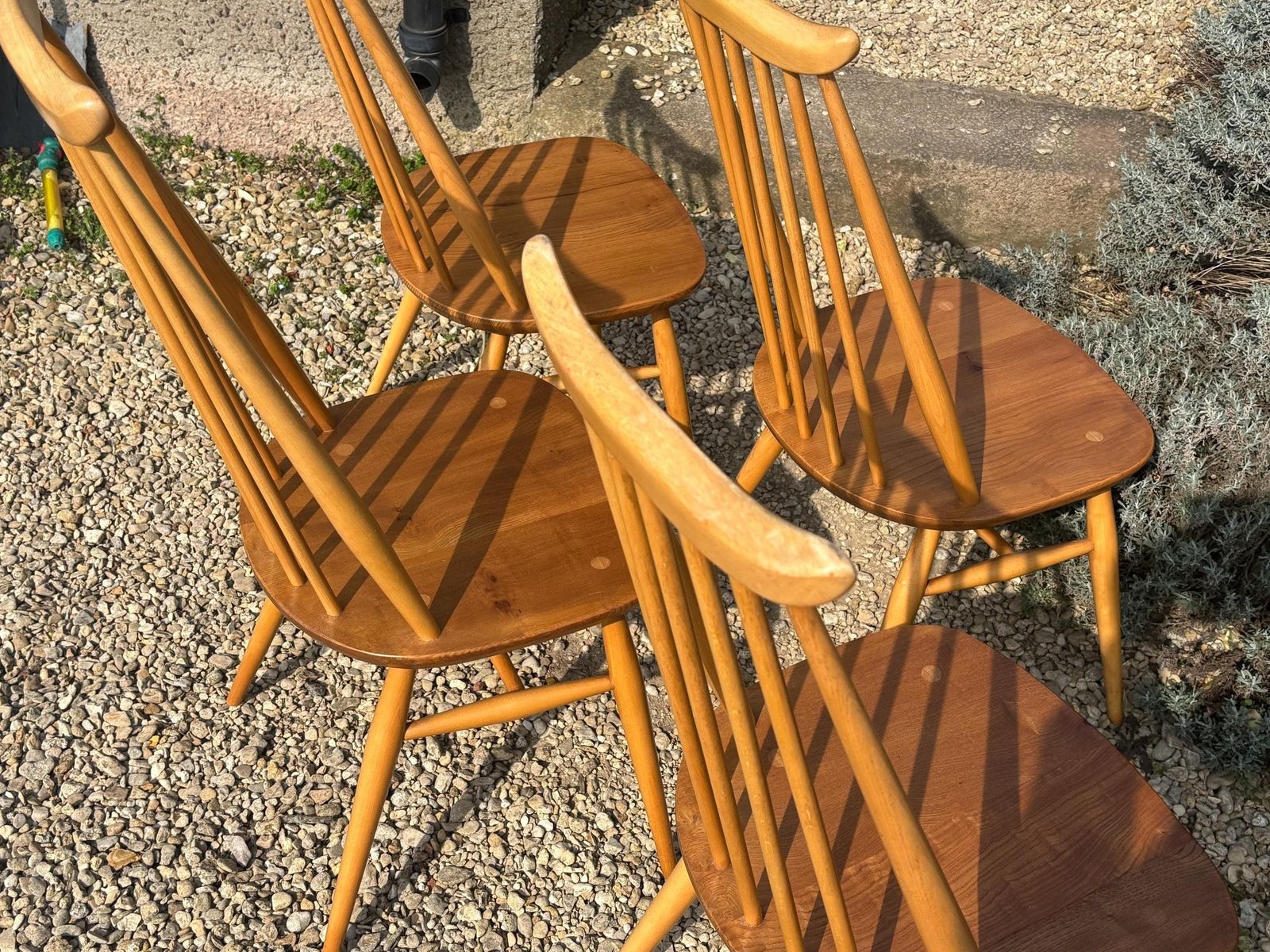 Furniture Ercol Goldsmith Dining Chairs X 4 Blonde Gold Label photo