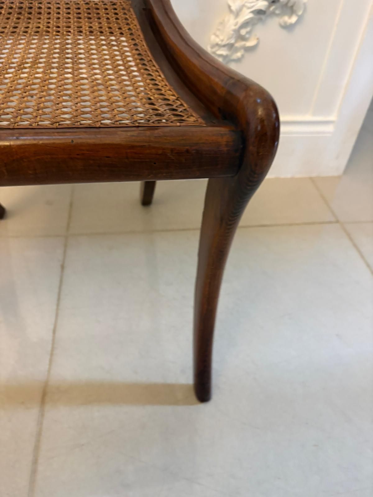 Furniture Antique 19th Century Mahogany Dining Chairs – Set Of Six With Cane Seats, Five Singles & One Carver photo
