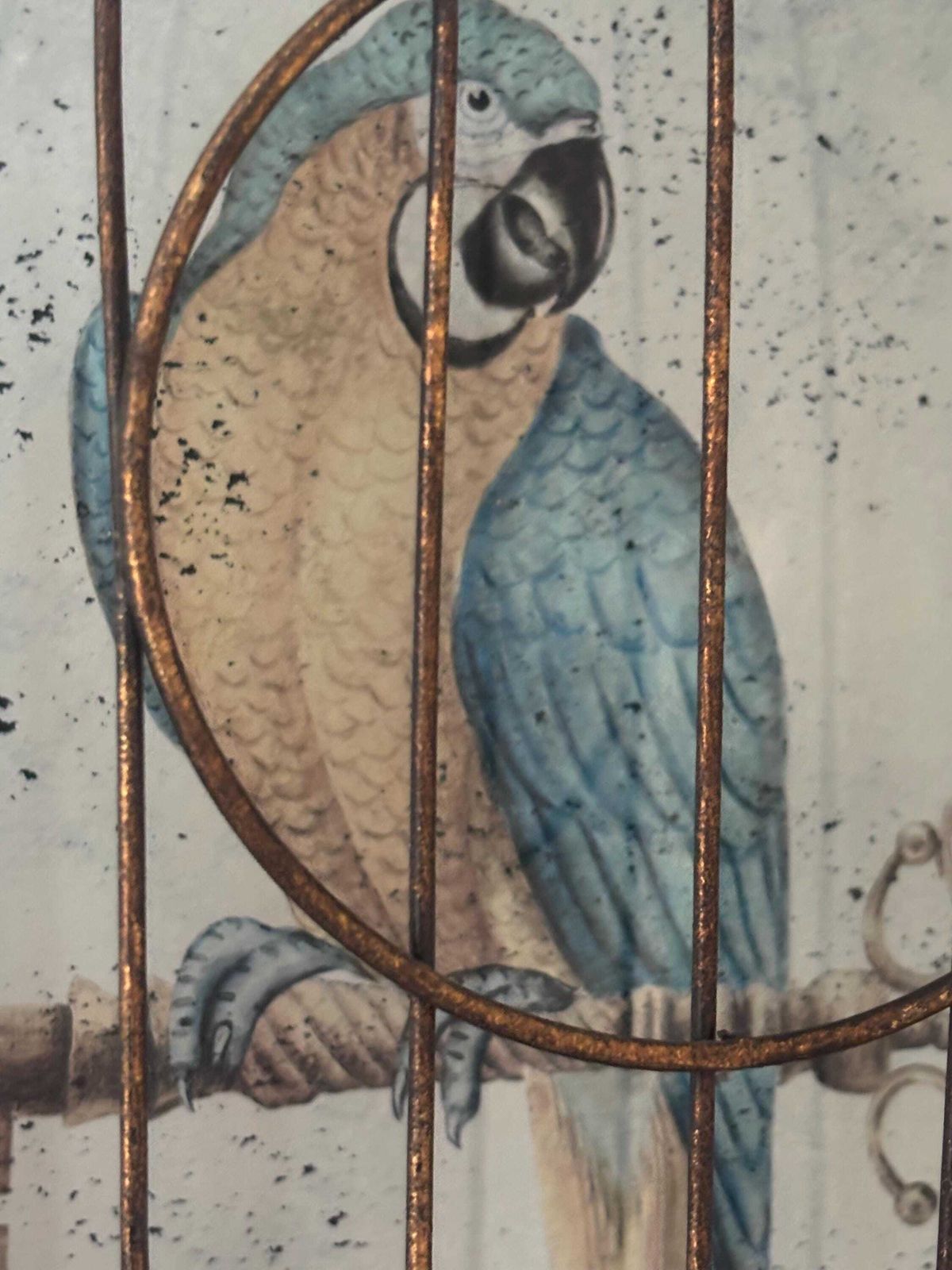 Vintage Verse Eglomise “Parrot In Cage” Wall Hanging Trompe L’oeil Half Bird Cage photo Art