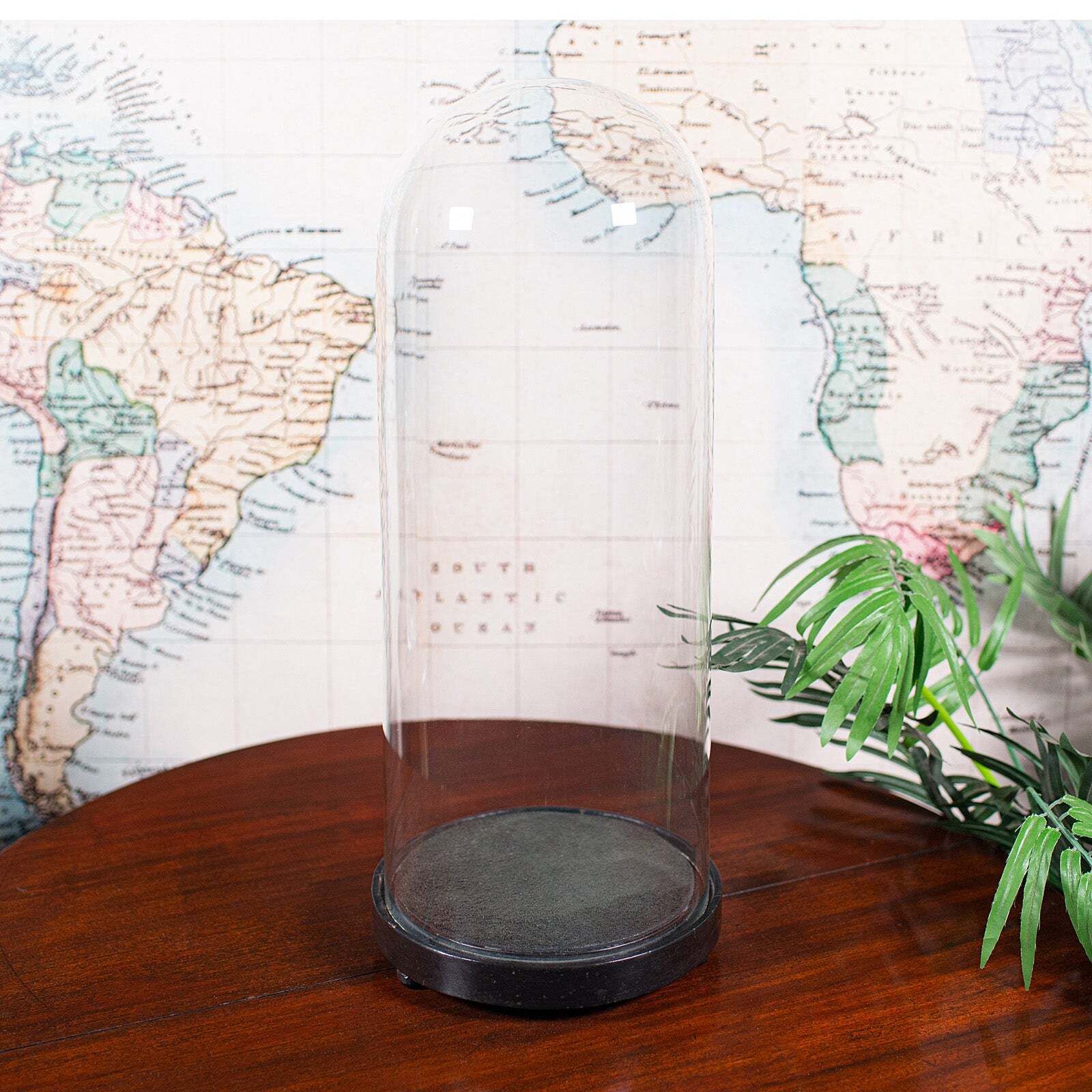 Tall Victorian Antique Display Showcase, English, Glass, Taxidermy Dome, C.1885 photo furniture
