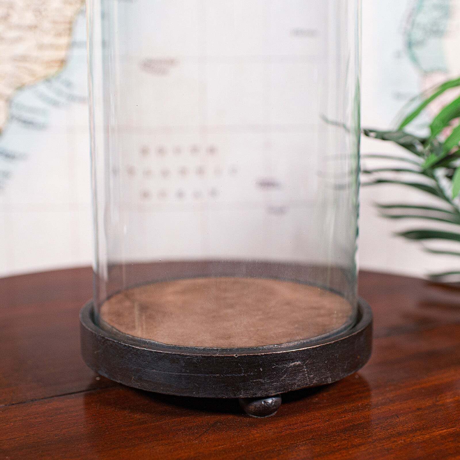 Tall Antique Victorian Taxidermy Dome, English, Glass Collector's Showcase, 1900 photo buy