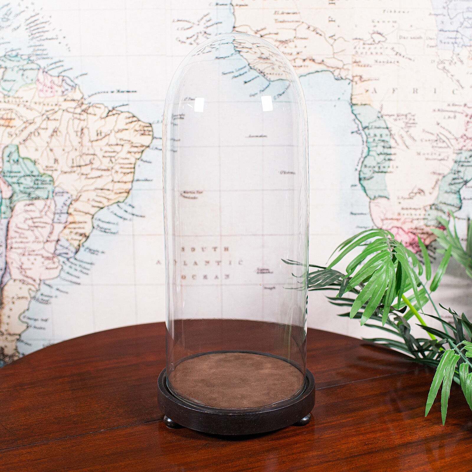 Tall Victorian Antique Specimen Showcase Dome, English, Glass, Taxidermy, 1895 photo furniture