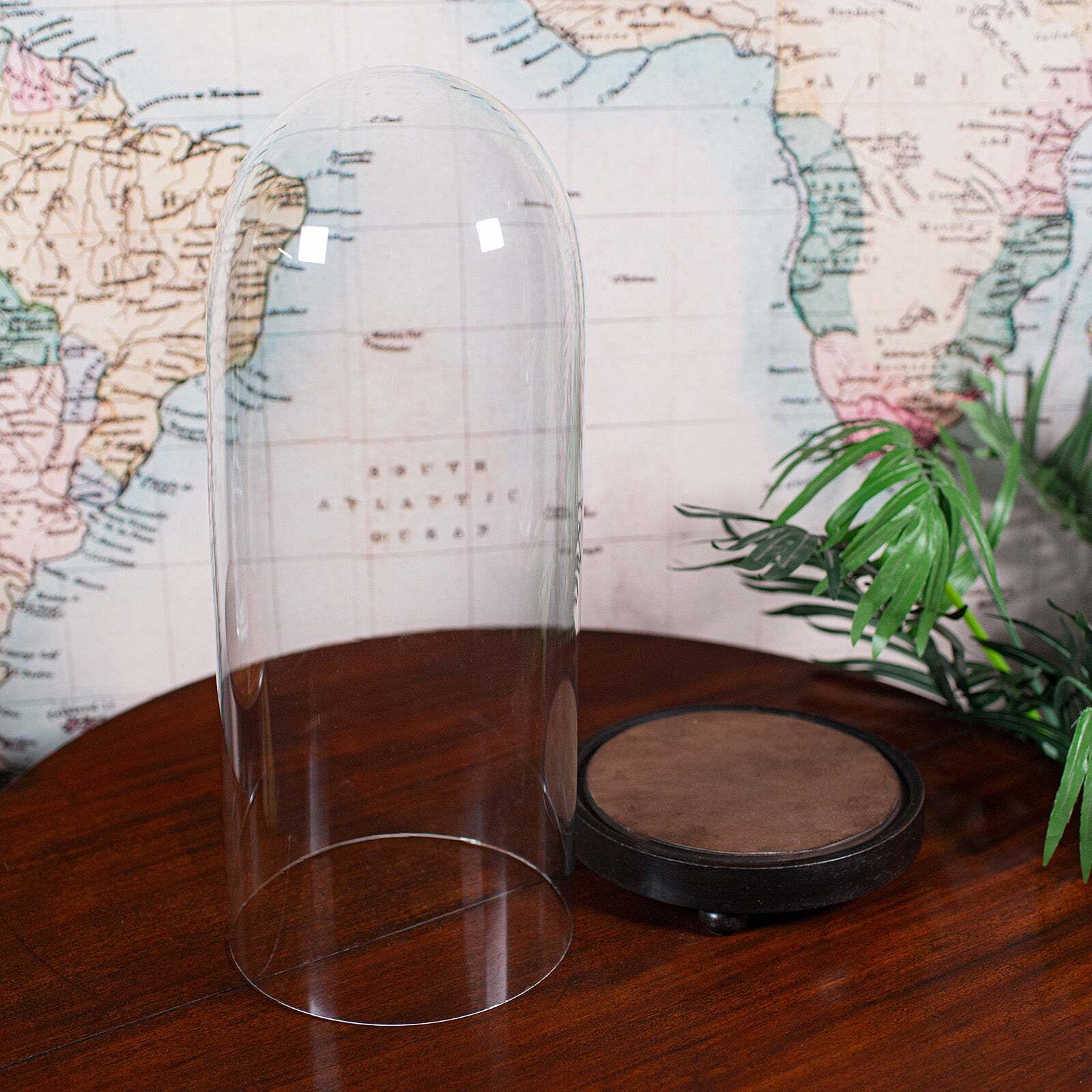 Tall Victorian Antique Specimen Showcase Dome, English, Glass, Taxidermy, 1895 photo 597.0
