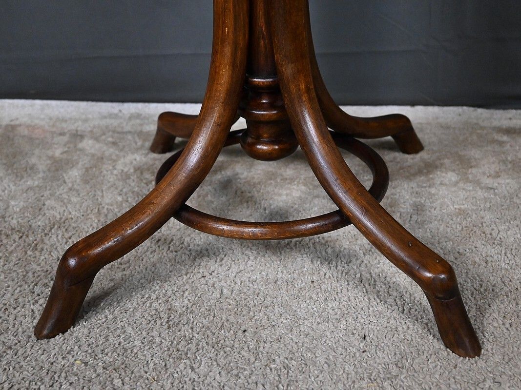 1110.0 Parrot Coat Rack In Beechwood – Early 20th Century photo