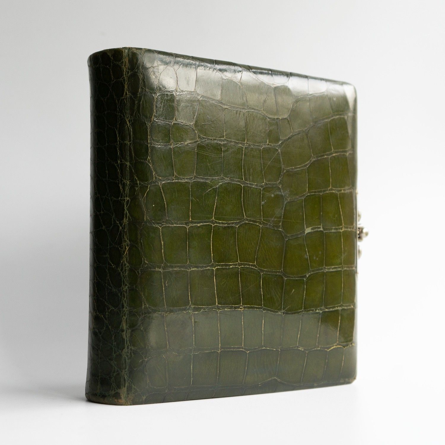 photo furniture Antique Victorian Green Crocodile Skin Leather Photograph Album And Contents