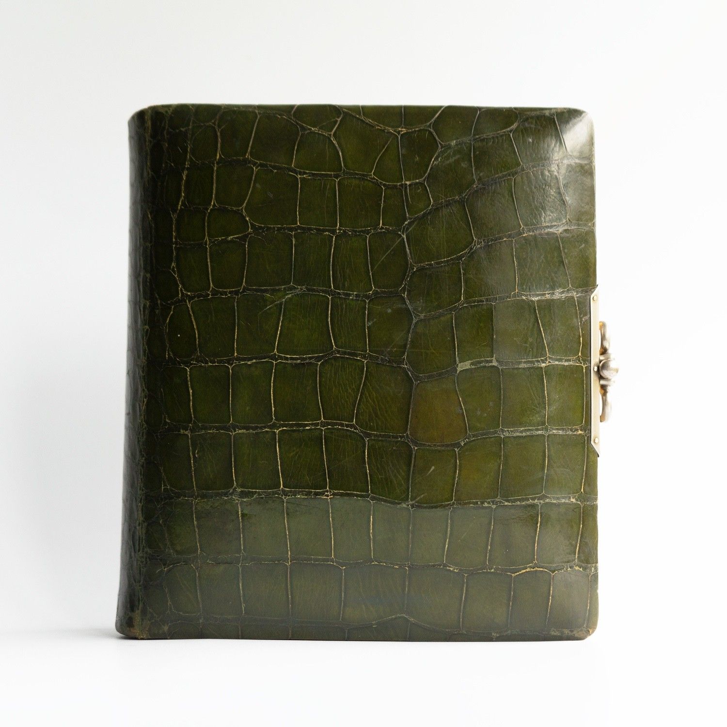 photo for sale Antique Victorian Green Crocodile Skin Leather Photograph Album And Contents