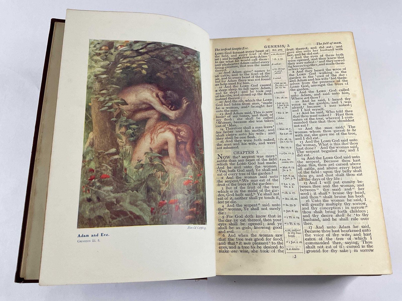 The Harold Copping Illustrated Bible – Religious Tract Society – Full Gilt Leather – C.1915 photo buy
