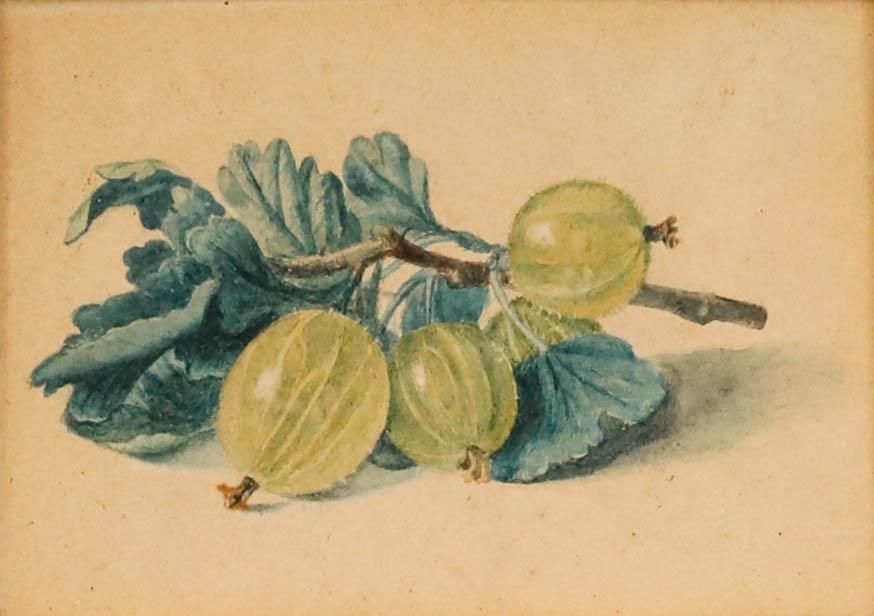 Framed Late 19th Century Watercolour Still Life Of Gooseberries photo furniture