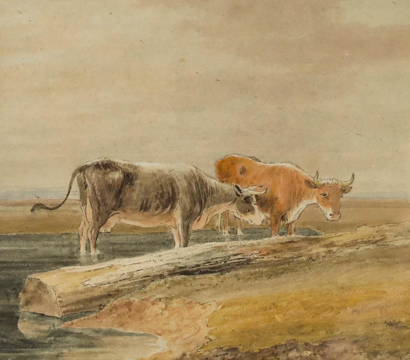 Circle Of Thomas S. Cooper (1803 1902) Watercolour, Cattle Standing In Water photo furniture