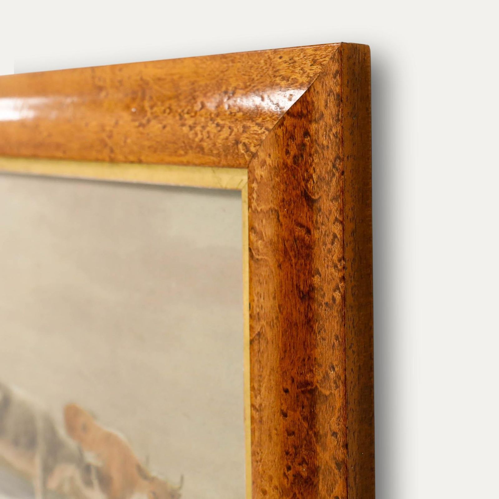 Circle Of Thomas S. Cooper (1803 1902) Watercolour, Cattle Standing In Water photo 250.0