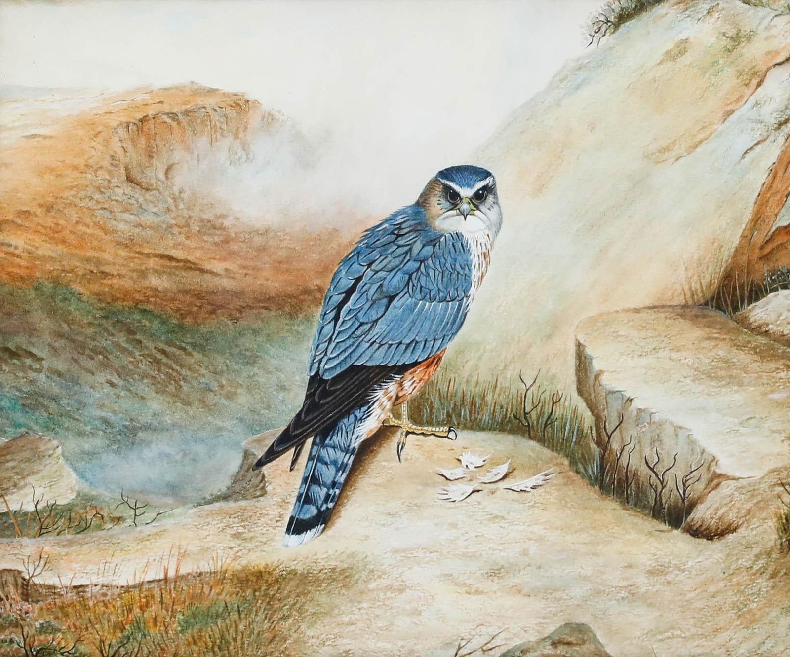 Folk Art Mid 20th Century Watercolour Study Of A Merlin In The Wild photo furniture