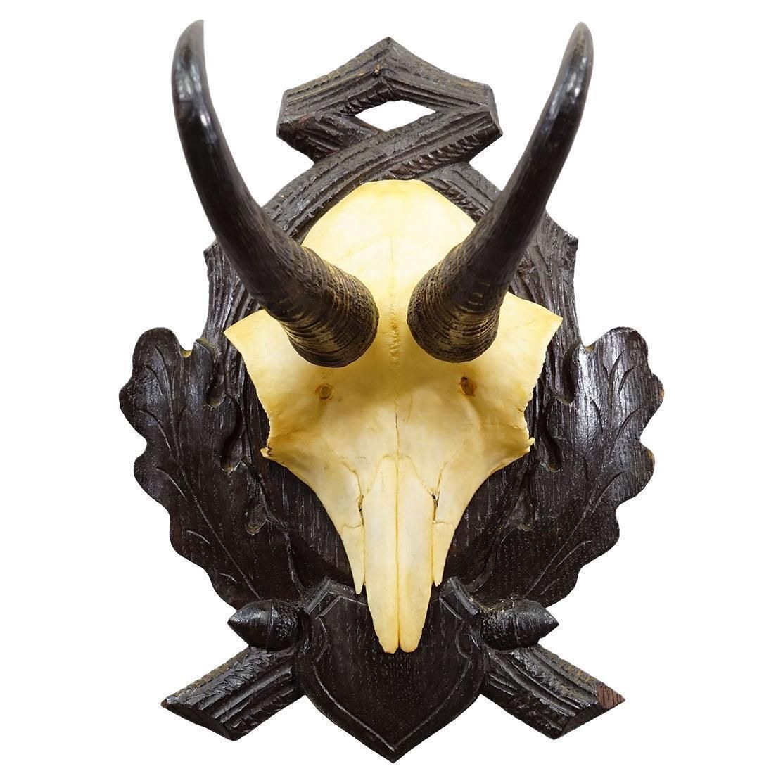 Antique Chamois Trophy On Carved Plaque, Germany Ca. 1930s