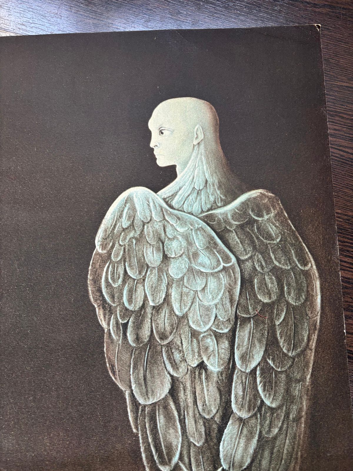 Leonor Finileonor Fini, Extrême Nuit, Rare Lithograph On Wove Paper, 19801980 photo Art