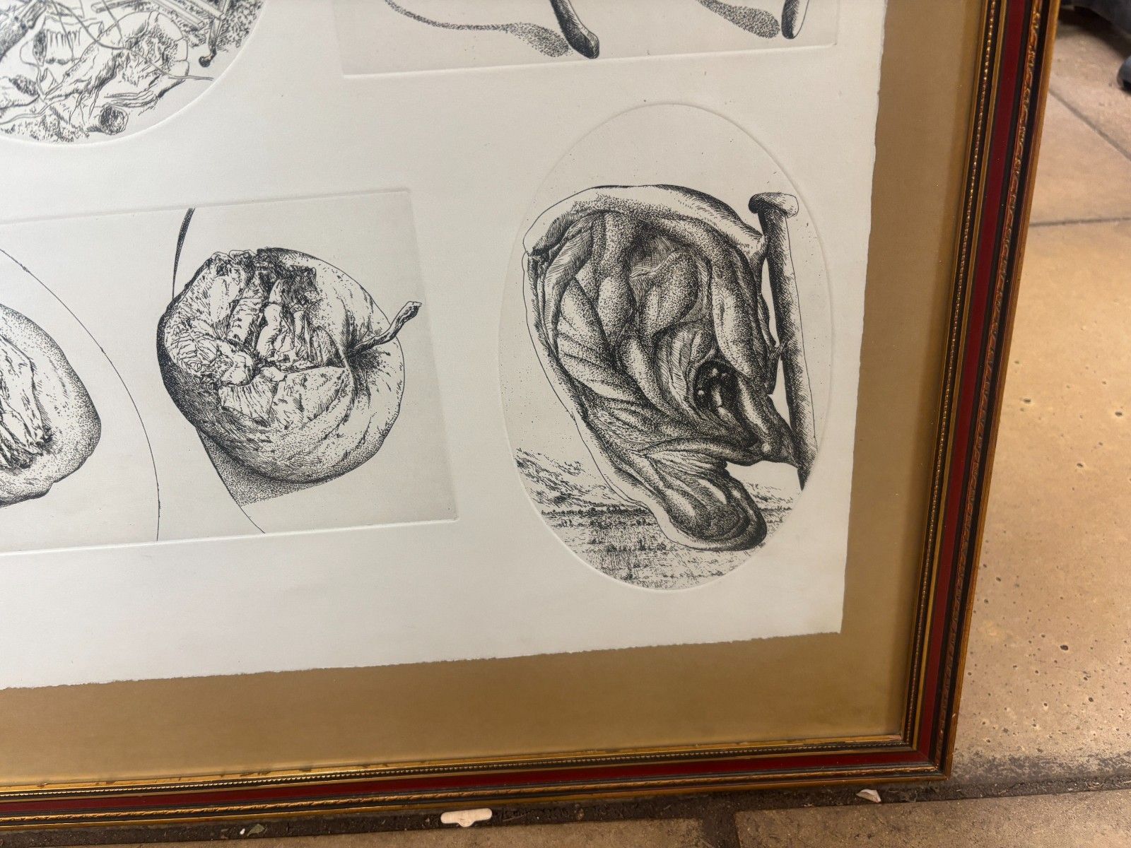 Vintage Collection Of Etchings/ Giclee Prints By Günter Grass Framed photo buy