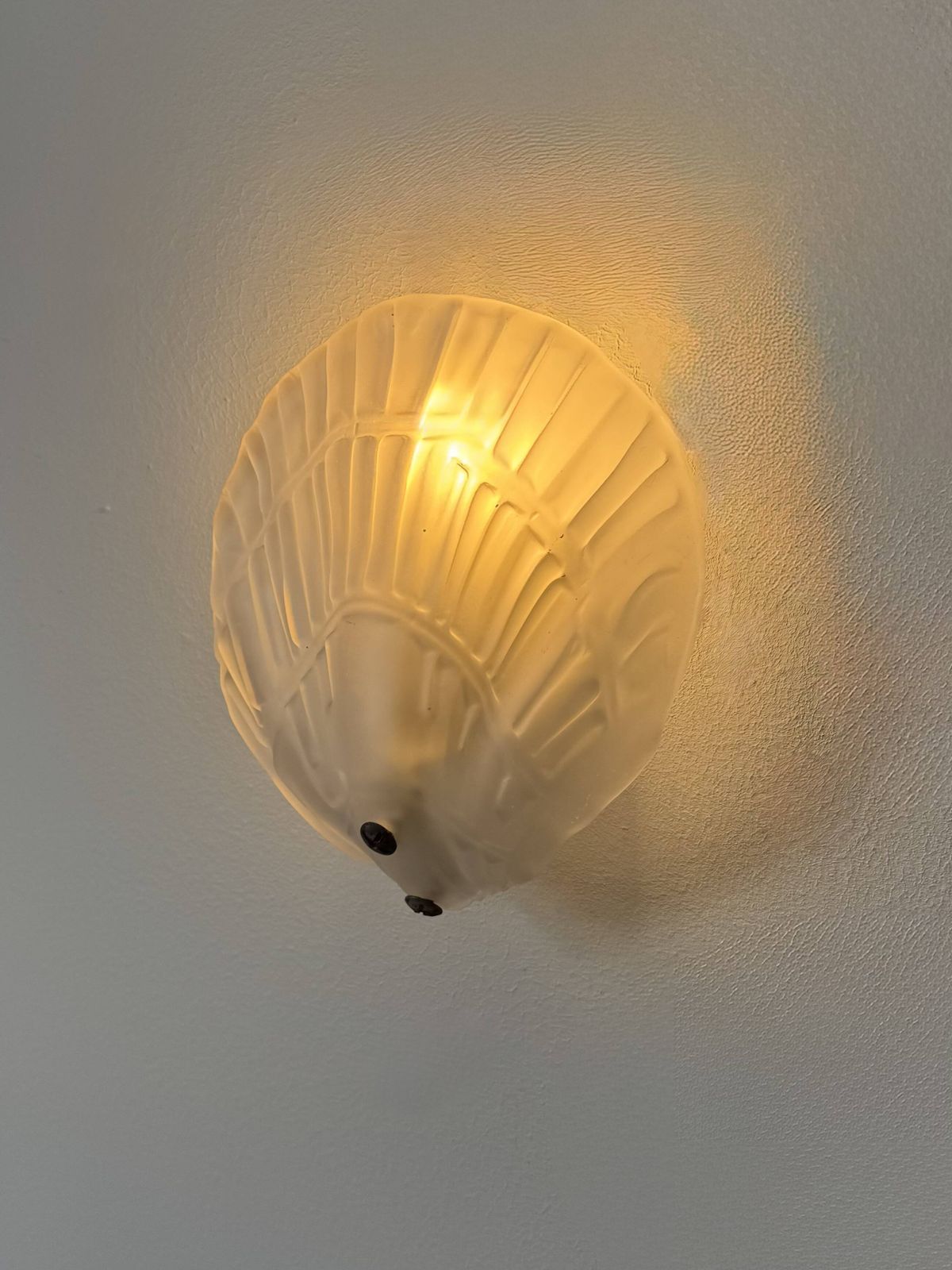 Pair Of Seashell Wall Sconces In Sandblasted Glass, France, 1970 photo buy