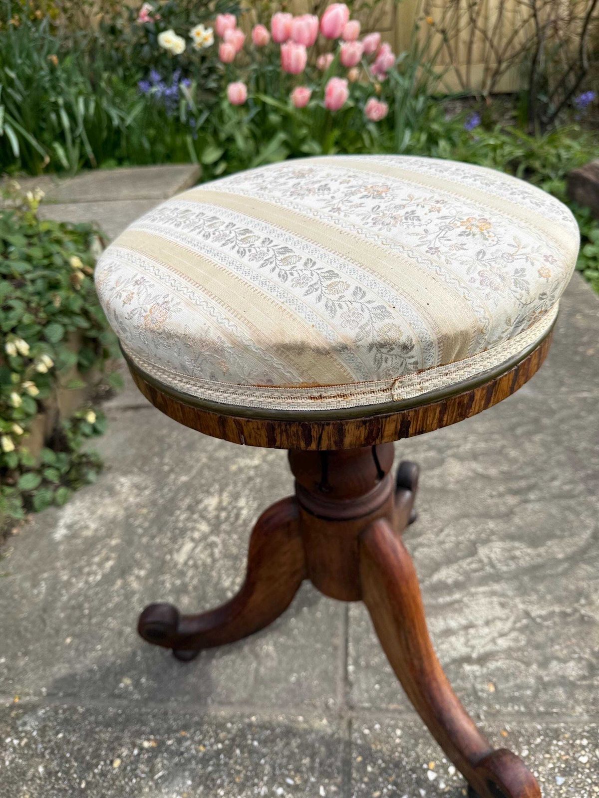 Furniture Antique Victorian Piano Stool Carved Walnut Adjustable Seat Yellwo Striped Floral Upholstery photo