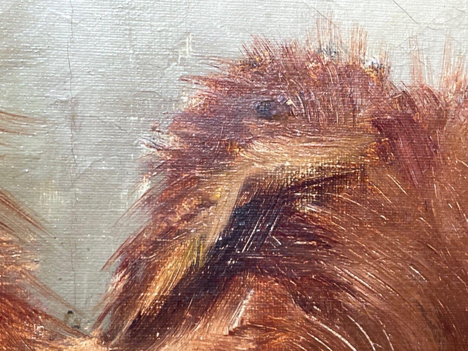 photo buy Painting Général Symon & Ping Ching Two Chinese Chow Chow Dogs By Zilia Klias