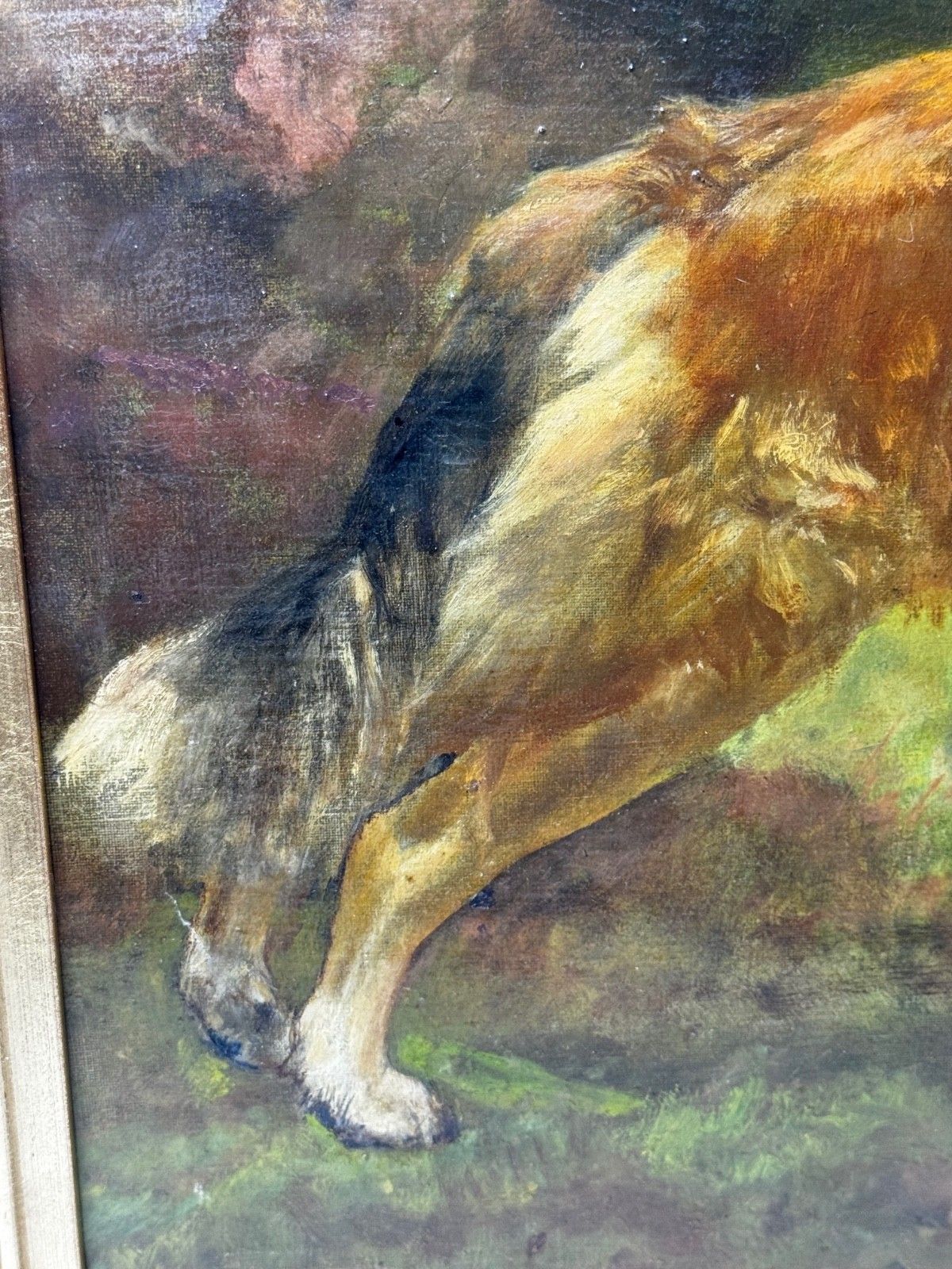 Large Victorian Oil Portrait Rough Collie Signed By John Trivett Nettleship photo vinterior