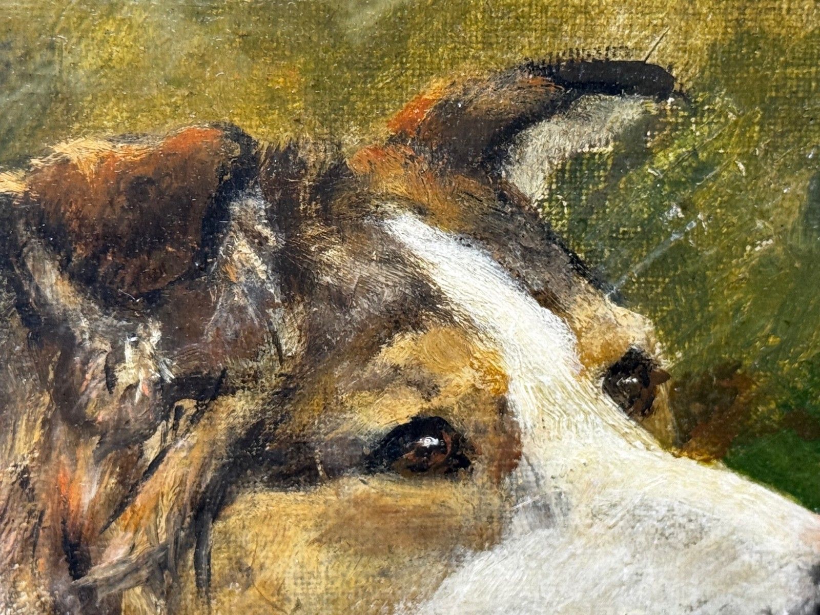 photo furniture Large Victorian Oil Portrait Rough Collie Signed By John Trivett Nettleship
