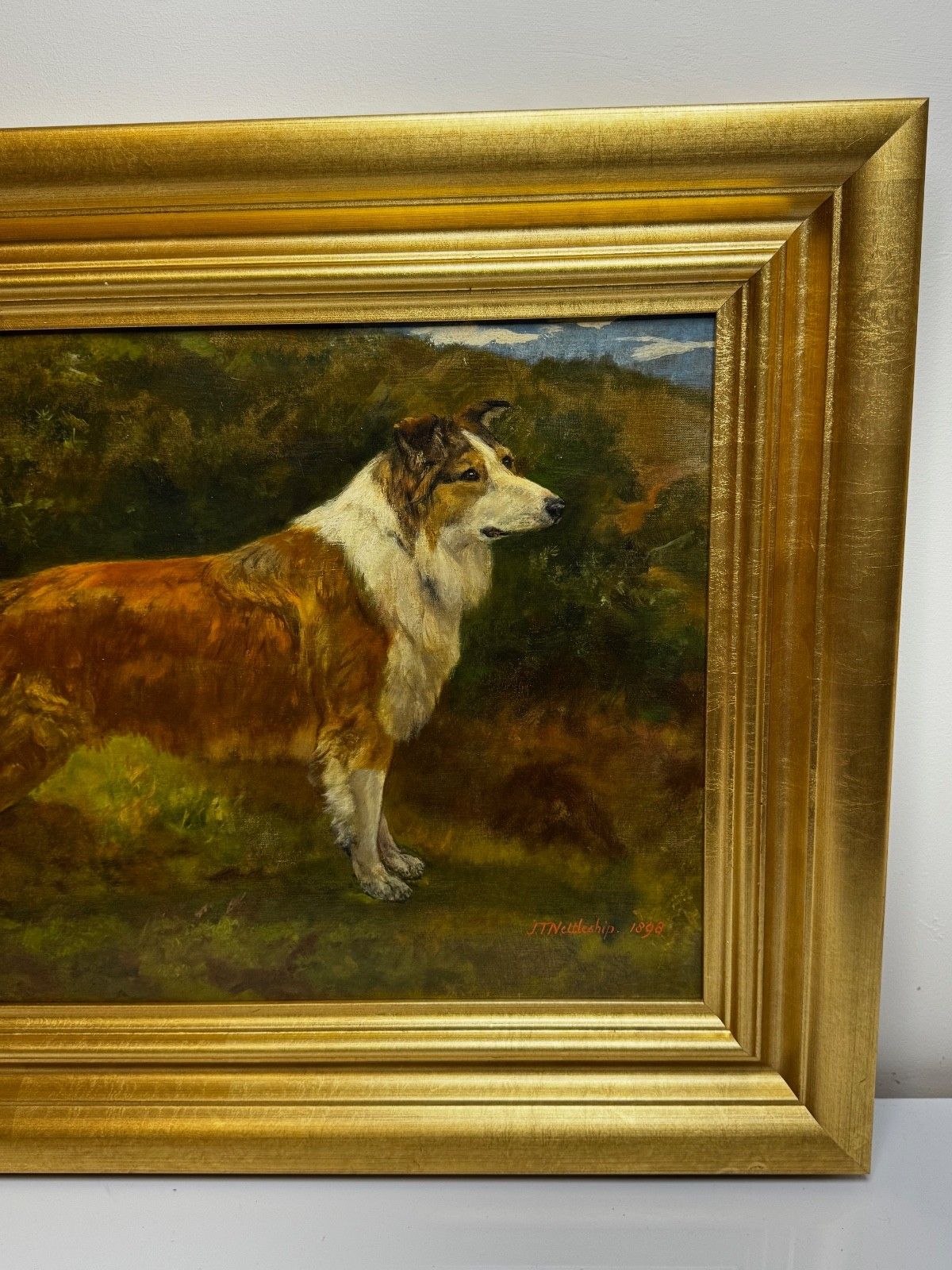 photo vinterior Large Victorian Oil Portrait Rough Collie Signed By John Trivett Nettleship