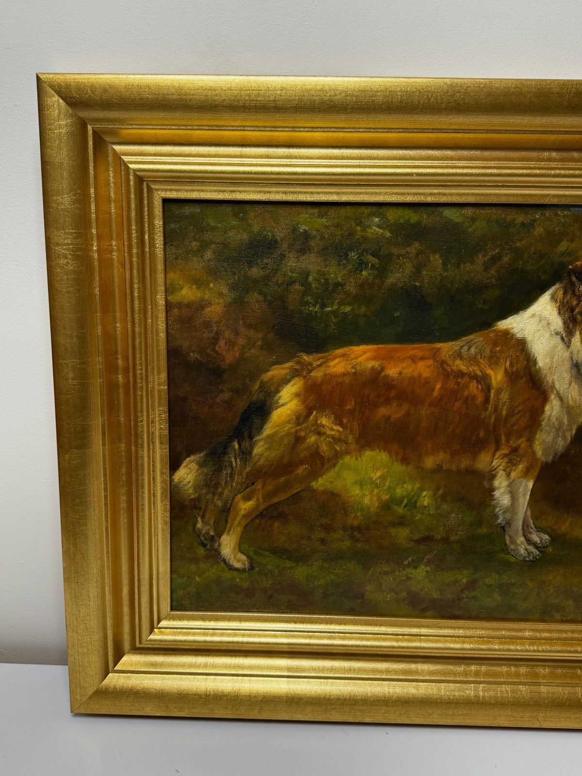 photo buy Large Victorian Oil Portrait Rough Collie Signed By John Trivett Nettleship