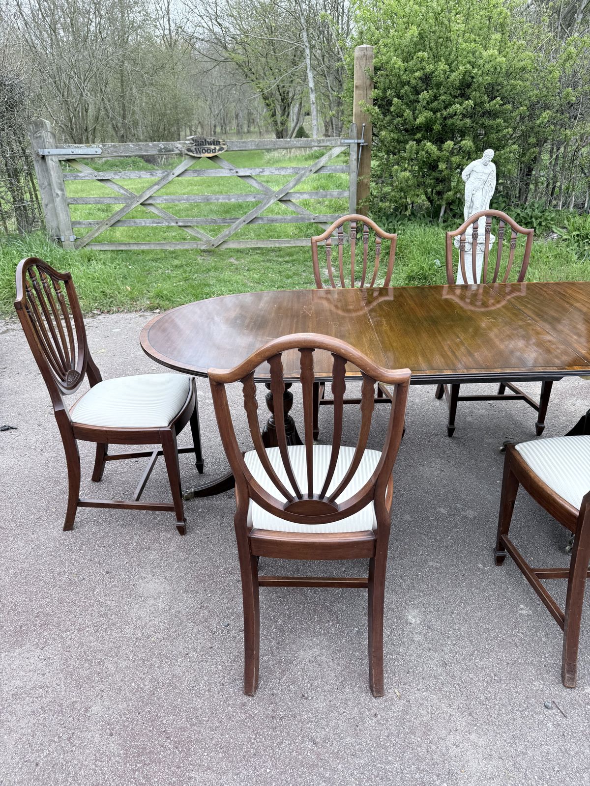 Edwardian (1900–1915) Mahogany Twin Pedestal Extending Dining Table & 6 Shield Back Chairs photo for sale