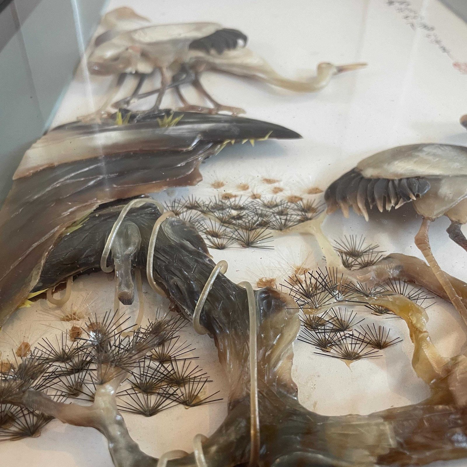 375.0 Oriental 3d Picture Shell Relief Framed Landscape Vintage Chinese Cranes Birds Carved Art Glass Front Wooden Frame photo