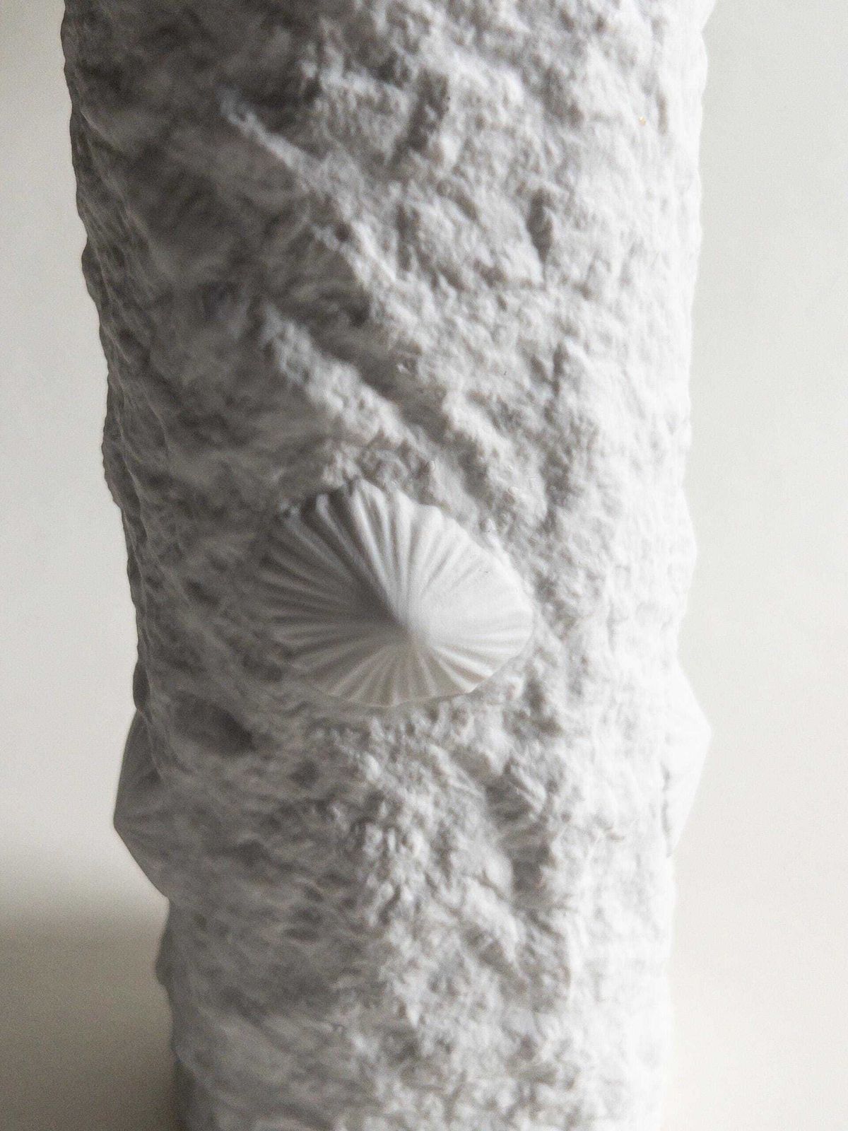 Home Decor Hutschenreuther White Porcelain Bisque Op Art Vase With Beach Limpet Shells photo