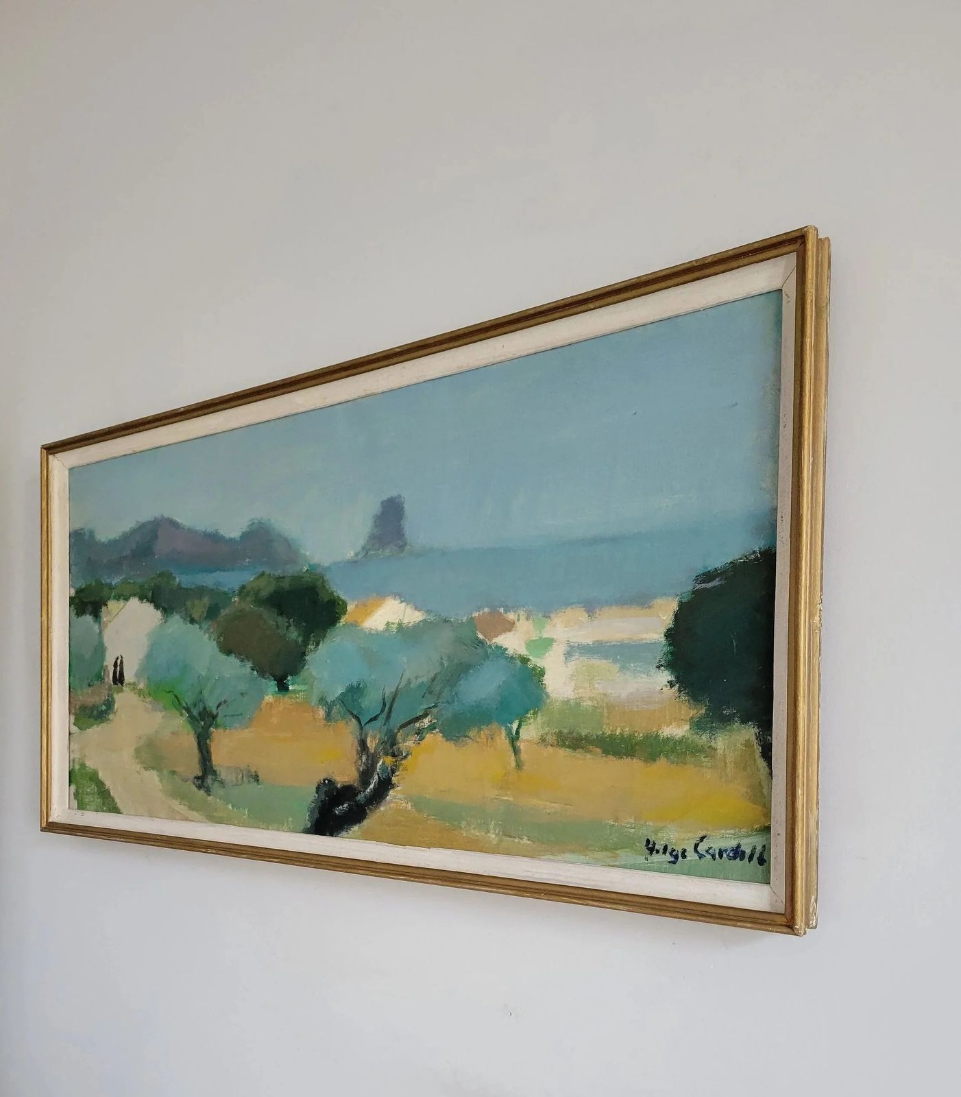 Olive Grove Horizon  Large Original Mid Century Landscape photo vintage