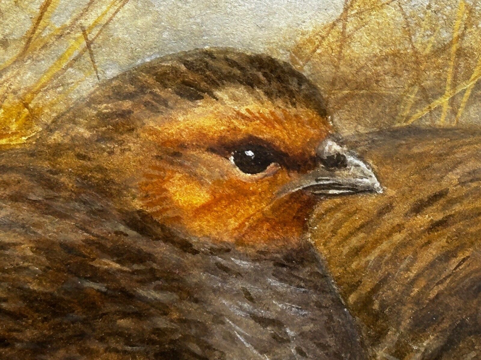 photo vinterior Grey Partridges Watercolour – British Wildlife Painting, Gilt Framed, In The Manner Of Archibald Thorburn