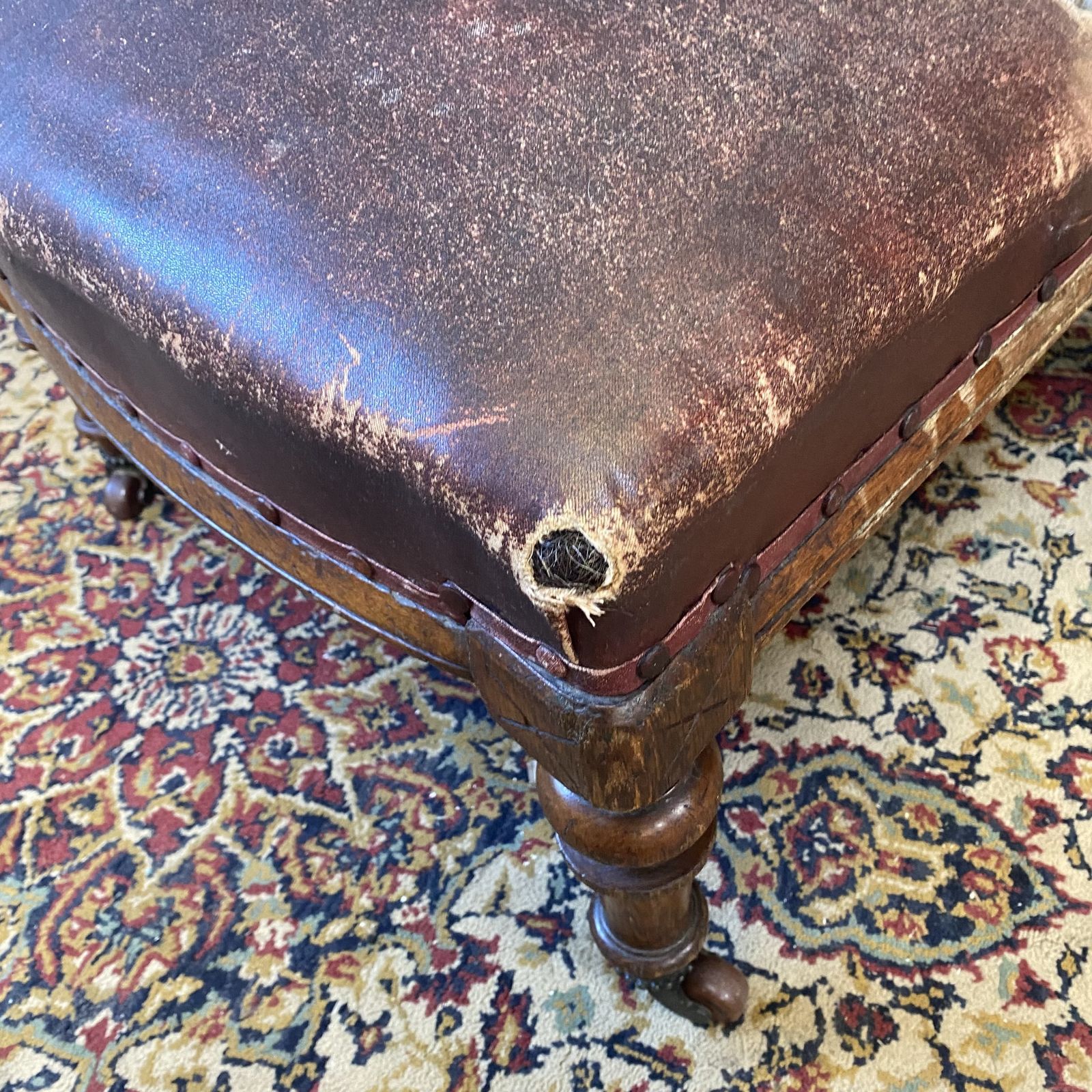 295.0 Antique Victorian Faux Leather Horseshair Fireside Reading C & C Castors Chair photo