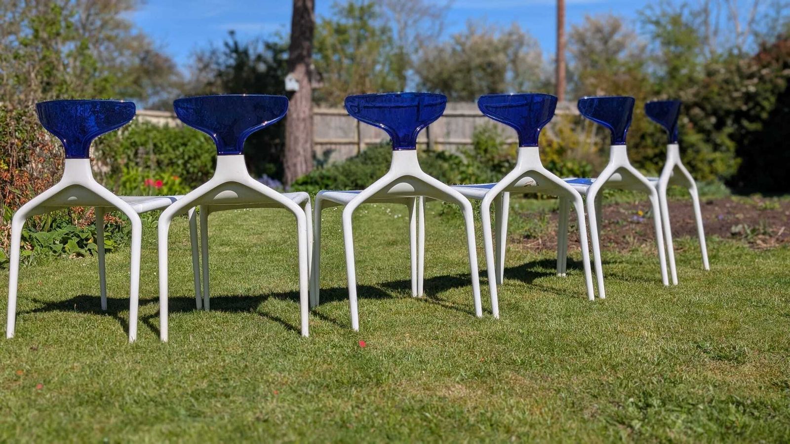Set Of 6 Punk Dining Chairs By Archirivolto For Green Srl, Italy (C. 2010 2011) photo furniture