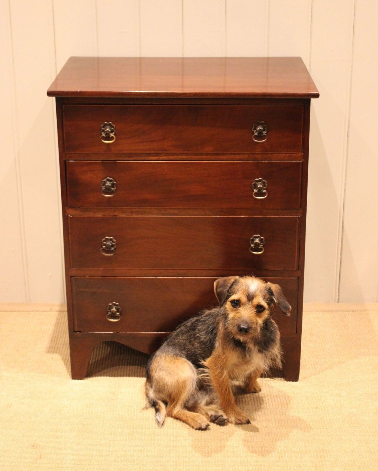 photo furniture Edwardian Mahogany Chest Of Drawers