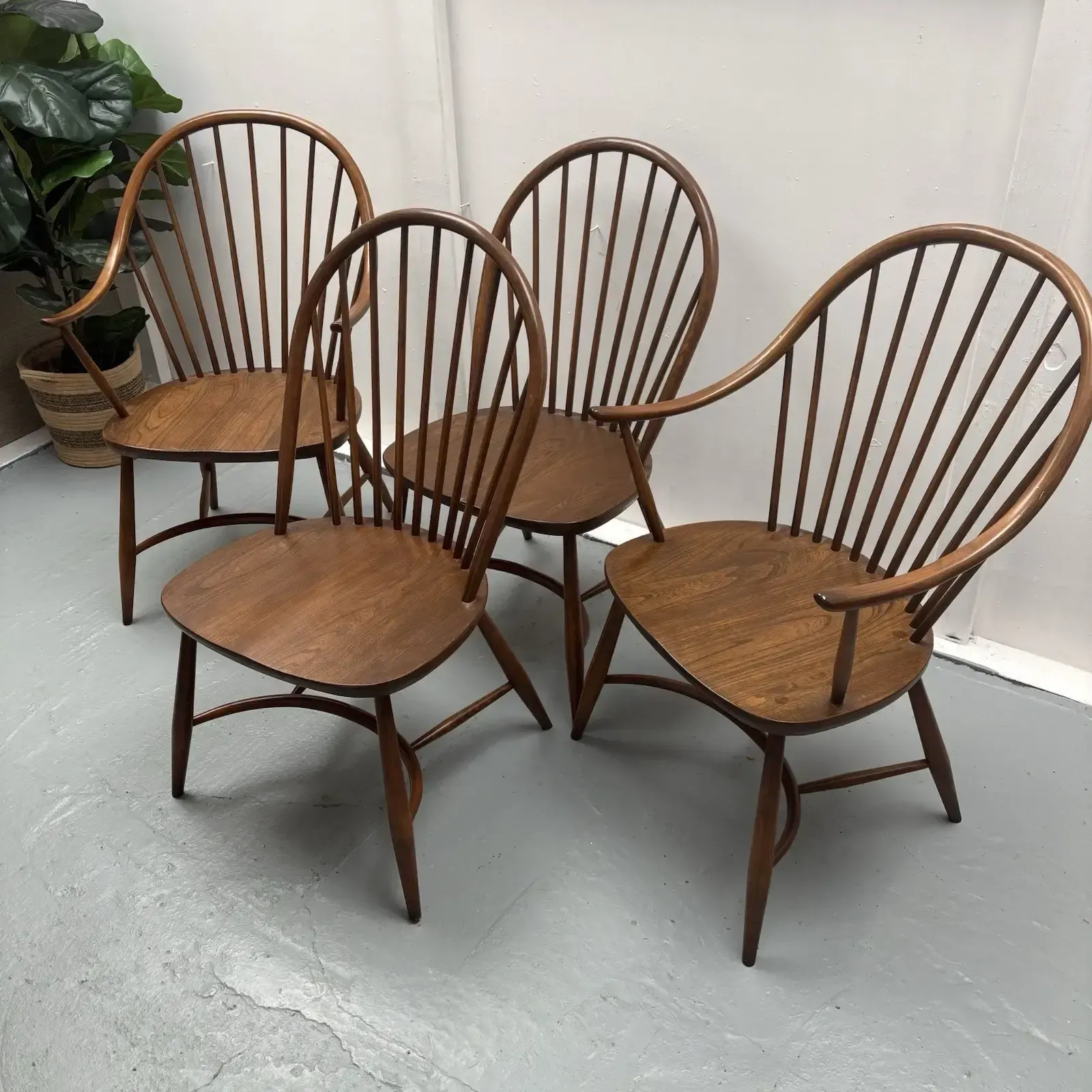 4 Ercol Dining Chairs Cryoline Stretcher Model 909 2 Rare Carvers Golden Dawn