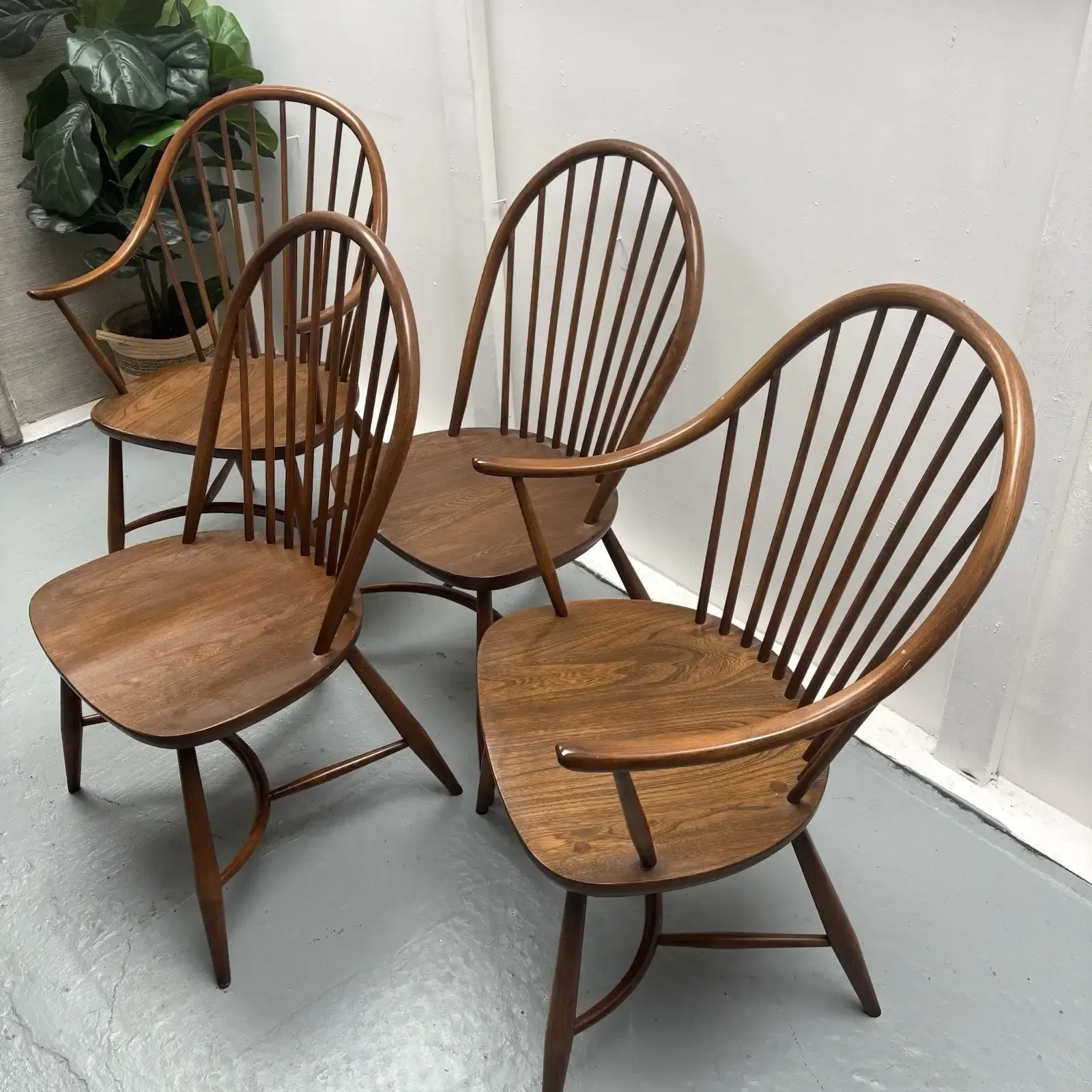 Furniture 4 Ercol Dining Chairs Cryoline Stretcher Model 909 2 Rare Carvers Golden Dawn photo