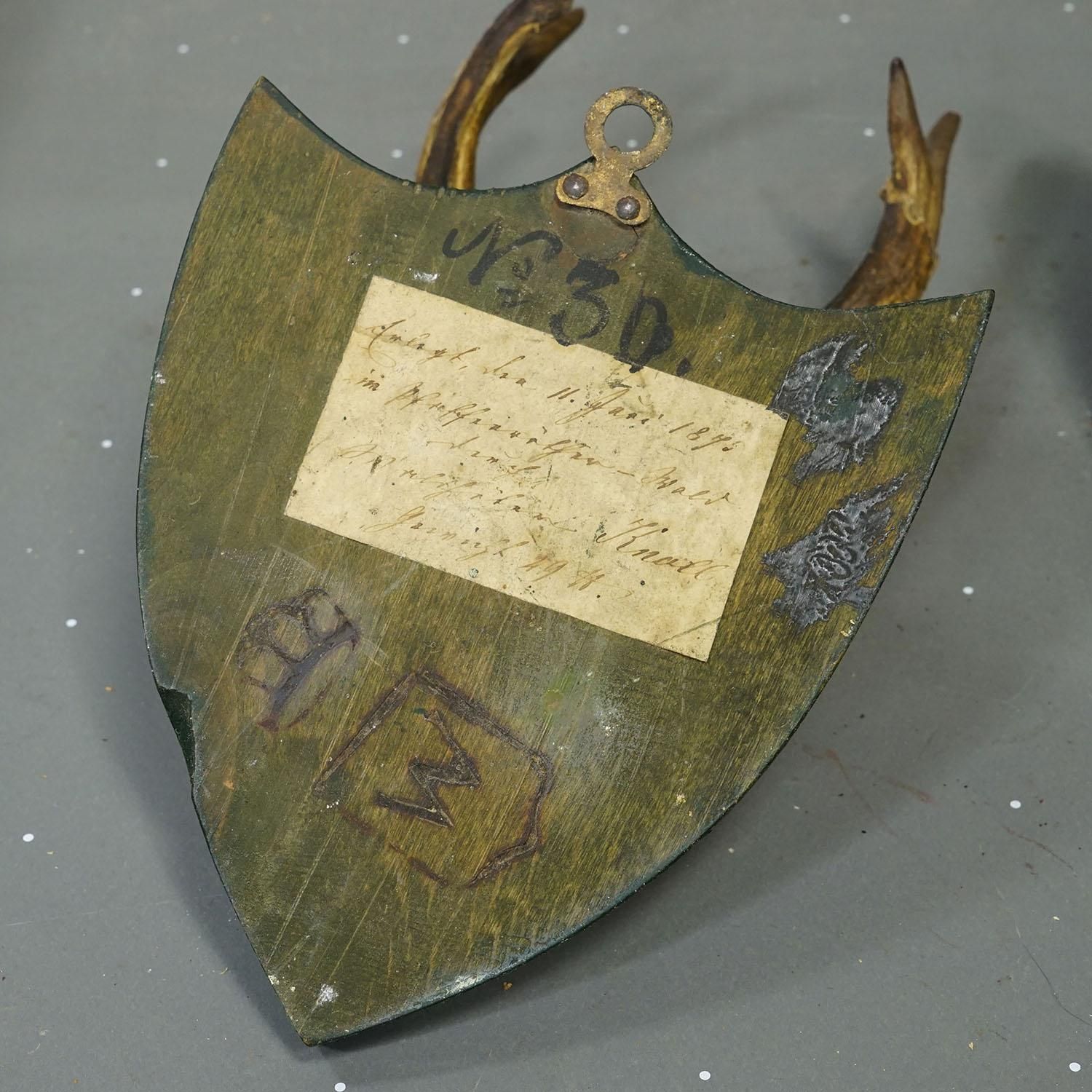 photo for sale Set Van Zes Reeëntrофeeën Op Houten Plaquettes – Salem, Duitsland, Ca. 1900