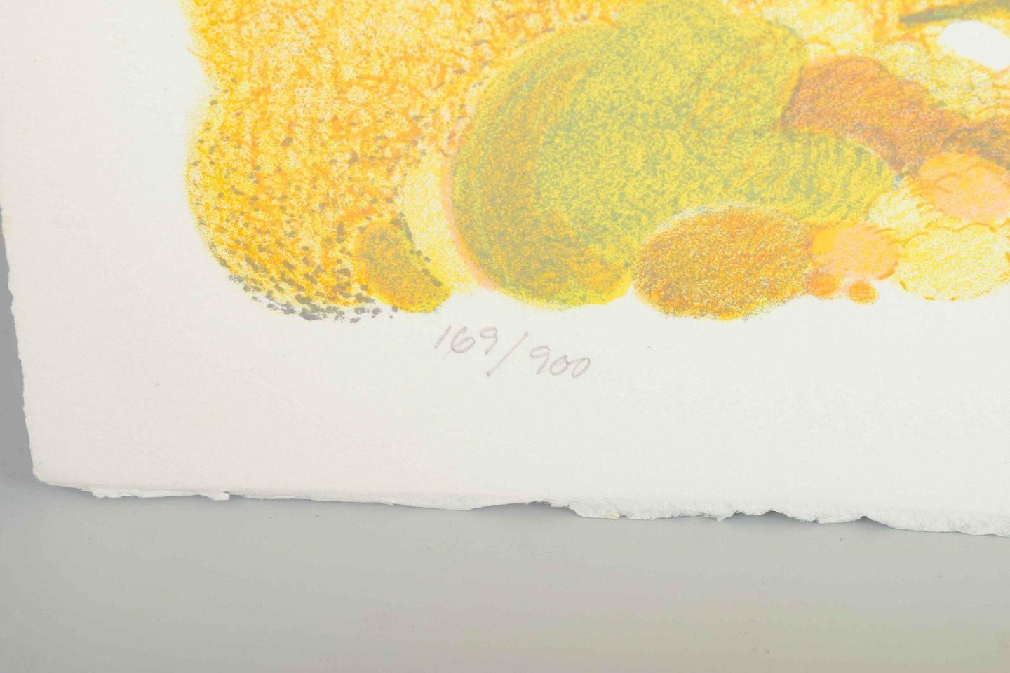 Kristian Begtorp, Danish Artist. Color Lithograph. Lyrical Abstract Landscape. photo Art