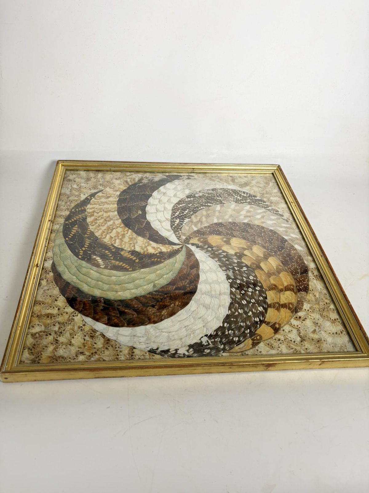 Painting In The Shape Of Butterfly Wings, Brazil, 1970 photo Art