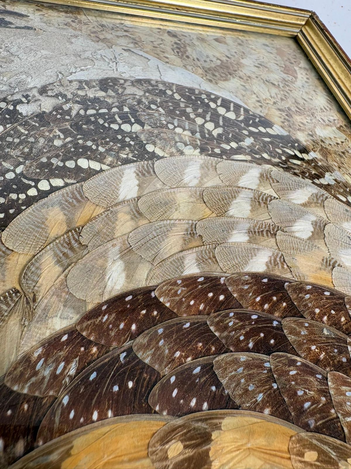 Painting In The Shape Of Butterfly Wings, Brazil, 1970 photo buy