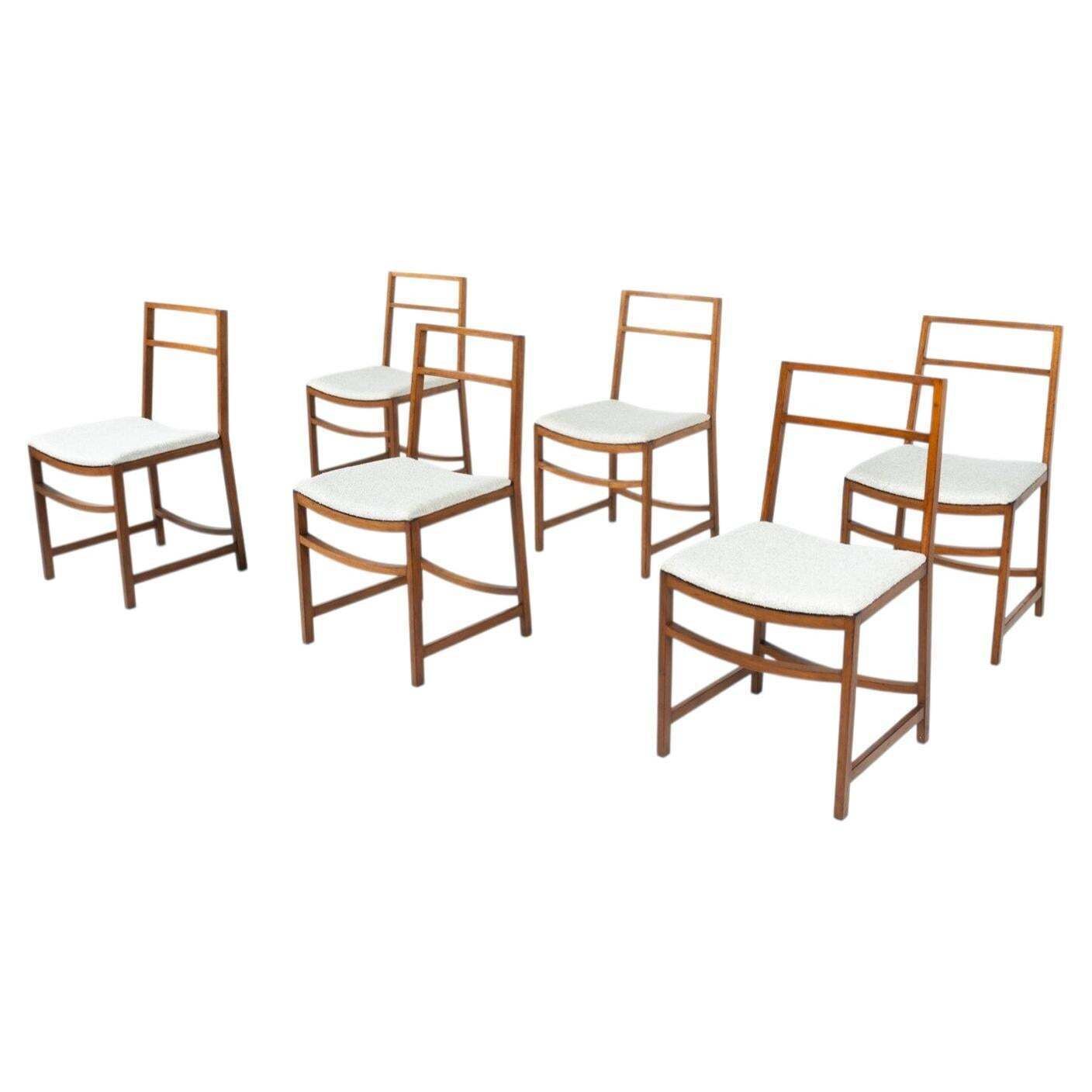 Set Of 6 Mid Century Modern Dining Chairs By Renato Venturi For Mim, 1950s